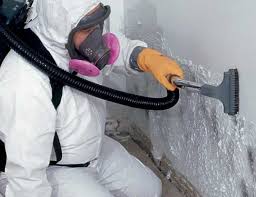 Mold Documentation for Insurance Claims in Cool Valley, MO